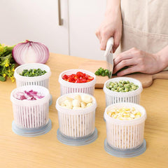 BPA Plastic Food Storage Container with Drainage for Vegetables and Fruits