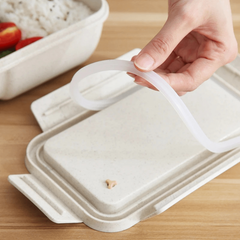 Eco Friendly BPA-Free Microwaveable Lunch Box for Teenagers and Workers