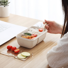Eco Friendly BPA-Free Microwaveable Lunch Box for Teenagers and Workers