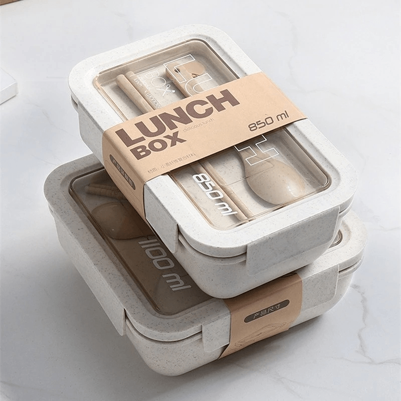 Eco Friendly BPA-Free Microwaveable Lunch Box for Teenagers and Workers