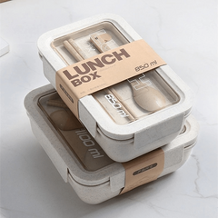 Eco Friendly BPA-Free Microwaveable Lunch Box for Teenagers and Workers