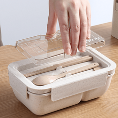 Eco Friendly BPA-Free Microwaveable Lunch Box for Teenagers and Workers