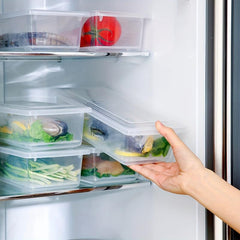 3pcs Fridge Organizer Removable Drain Plate Refrigerator Food Storage