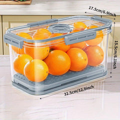 Dumplings Organizer Food Storage Container with Timing Top