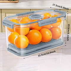 Dumplings Organizer Food Storage Container with Timing Top