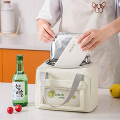 Bento Bag Ice Pack Multifunctional Outdoor Picnic Bag