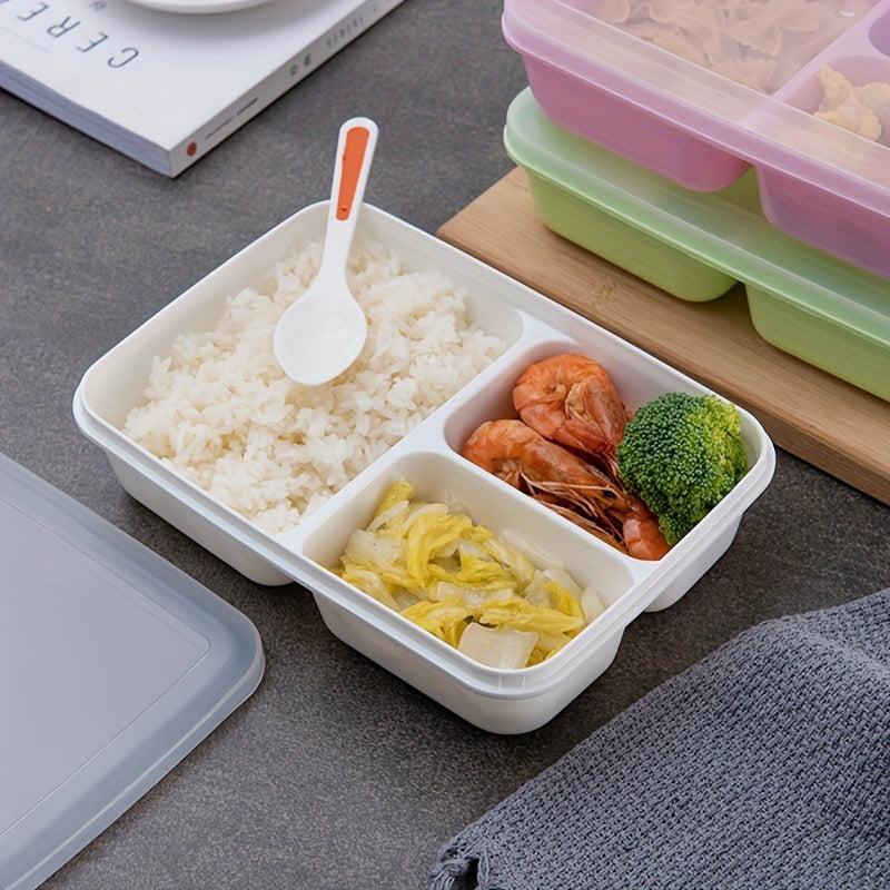 Rectangular 3 Compartment Lunch Box for Teens