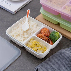 Rectangular 3 Compartment Lunch Box for Teens