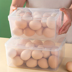Japanese Style Noodle Box Refrigerator Fruit Vegetable Crisper