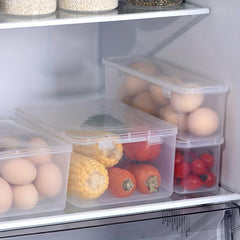 Japanese Style Noodle Box Refrigerator Fruit Vegetable Crisper