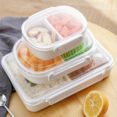 Refrigerator Safe Insulated Lunch Box for Fresh Keeping Fruits Vegetables Meats