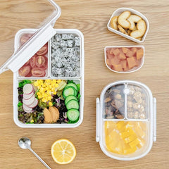 Refrigerator Safe Insulated Lunch Box for Fresh Keeping Fruits Vegetables Meats