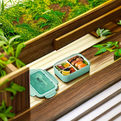 Microwave Safe Bento Box Lunch Box - Rectangular Fruit