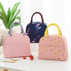 Large Capacity Cartoon Lunch Bag with Handle for School or Work