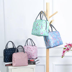 Large Capacity Cartoon Lunch Bag with Handle for School or Work