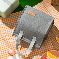 Leakproof Aluminum Foil Insulated Lunch Bag with Handle for Teens and Adults