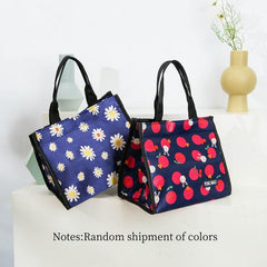 Portable Folding Lunch Bag Insulated Lunch Box For Camping Picnic