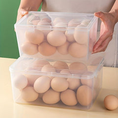 Rectangle Egg Storage Box Leak Proof Plastic Reusable Box Hand Wash