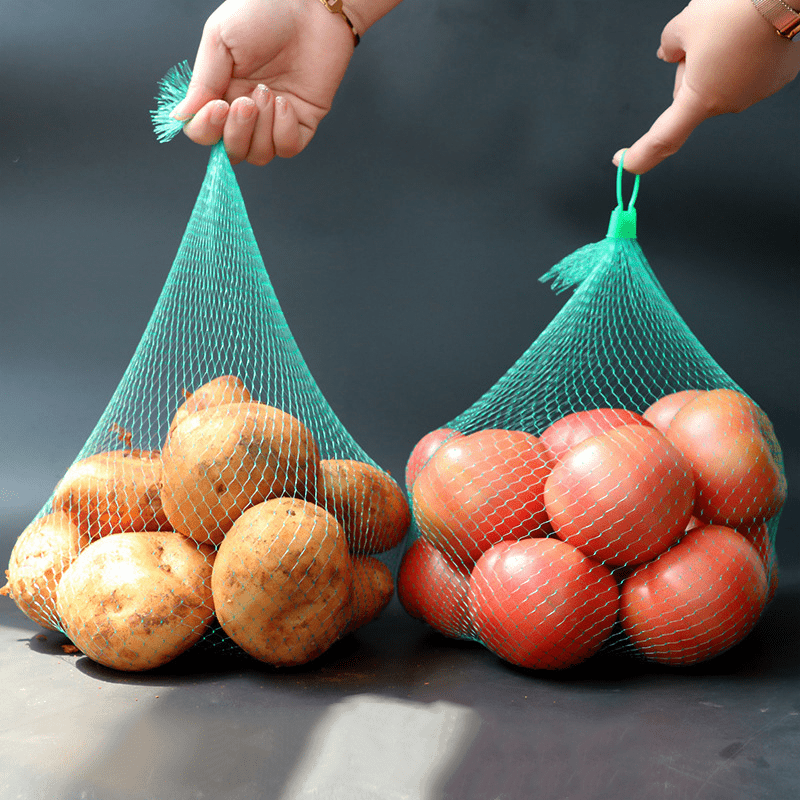 10 Reusable Mesh Bags for Vegetables Fruits Eggs Toys - Organize and Protect