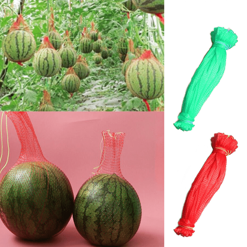 10 Reusable Mesh Bags for Vegetables Fruits Eggs Toys - Organize and Protect