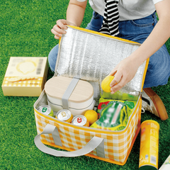 Portable Plaid Picnic Basket With 2 Ice Pack Insulated Cooler Box Picnic Bag