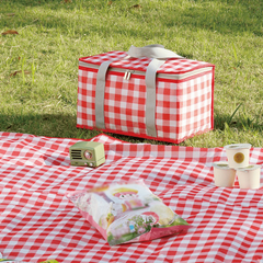 Portable Plaid Picnic Basket With 2 Ice Pack Insulated Cooler Box Picnic Bag