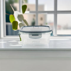 Heat Resistant Glass Lunch Box Shatter Resistant Bento Box