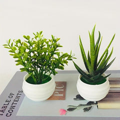 Realistic Artificial Succulent Plant with Pot for Home and Office Decor