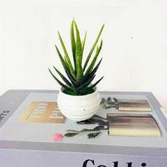 Realistic Artificial Succulent Plant with Pot for Home and Office Decor