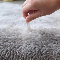 Soft Shaggy Rugs Fluffy Carpets for Living Room Kids Room Nursery Home Decor
