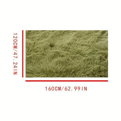 Soft Shaggy Rugs 4x6 Ft Area Rug for Living Room Bedroom Girls Ki