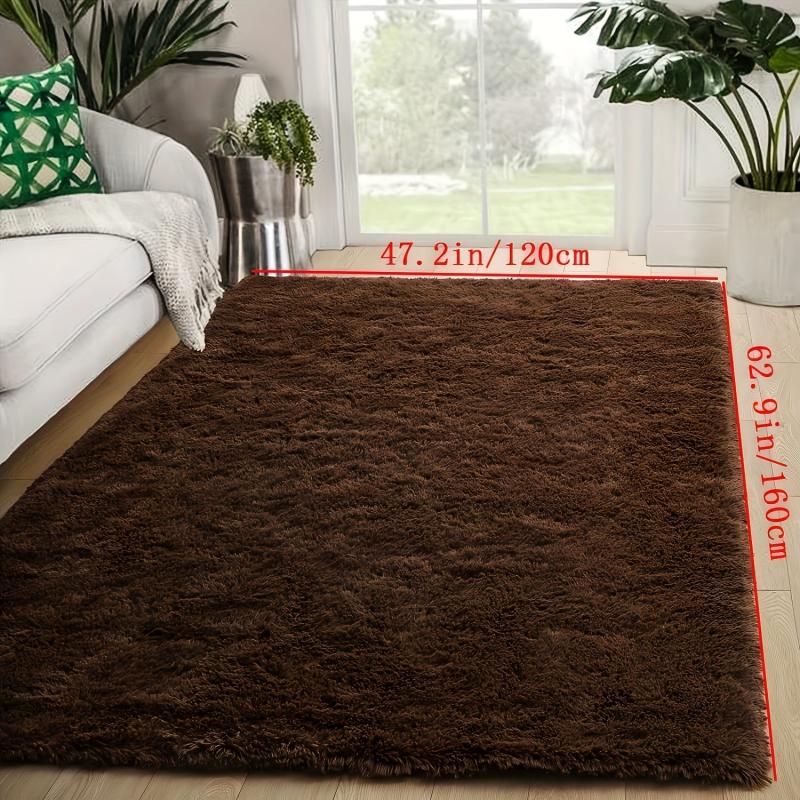 Soft Plush Shag Area Rug for Living Room Non Slip Washable Fluffy Floor Carpet