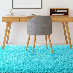 Ultra Soft Plush Rug Non Slip Shaggy Throw Rug for Living Room
