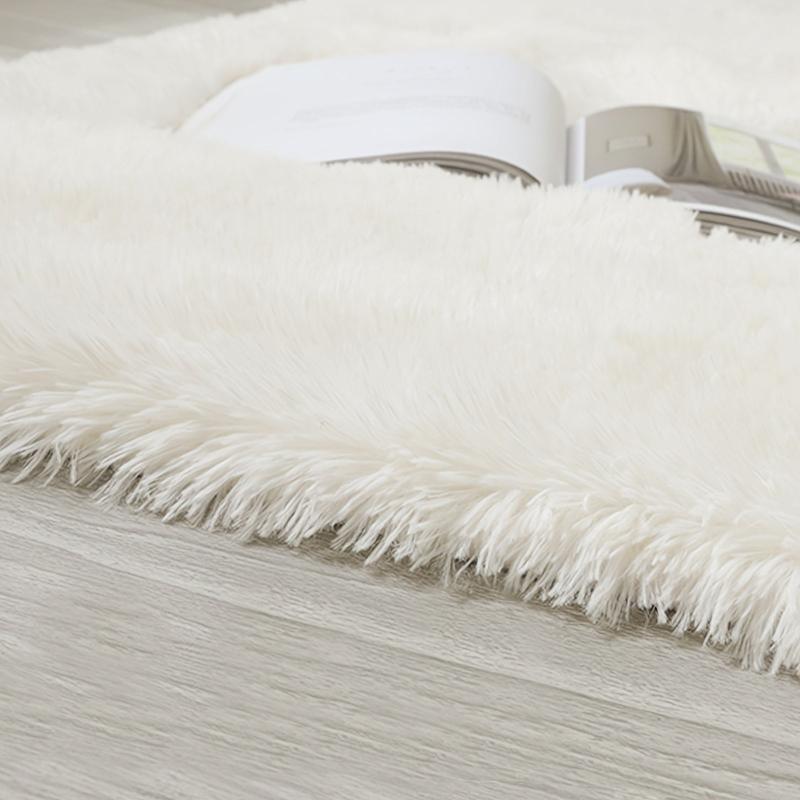 Soft Plush Shaggy Rug for Living Room Home Decor
