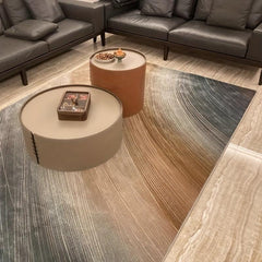Modern Abstract Area Rugs Non slip Soft And Comfortable Nordic Carpet