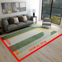 Soft Modern Abstract Area Rug Non-slip Shaggy Carpet Clearance