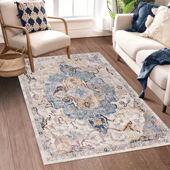Stain Resistant Vintage Boho Area Rug with Anti Slip Backing