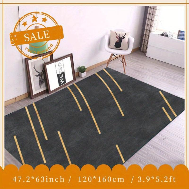 Soft and Fluffy Modern Area Rug with Anti Slip Backing