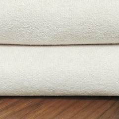Soft Plush Rug Non Slip Fluffy Shaggy Area Rug for Living Room Bedroom Nursery