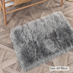 Soft Grey Shaggy Area Rug for Bedroom and Living Room Non Slip Floor Mat