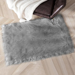 Soft Grey Shaggy Area Rug for Bedroom and Living Room Non Slip Floor Mat
