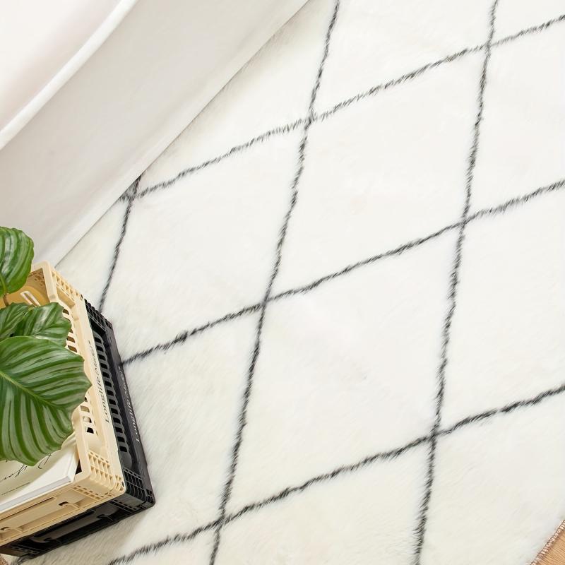 Minimalist Shag Area Rugs Soft Fluffy Floor Mat Non Shedding Plush Carpet