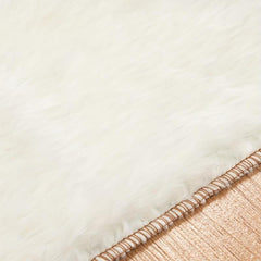 Minimalist Shag Area Rugs Soft Fluffy Floor Mat Non Shedding Plush Carpet