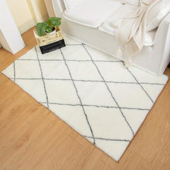 Minimalist Shag Area Rugs Soft Fluffy Floor Mat Non Shedding Plush Carpet