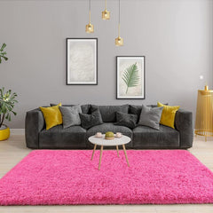 Soft Plush Fuzzy Rug: Washable Non Slip Living Room Bedroom Area Rug & Door Mat