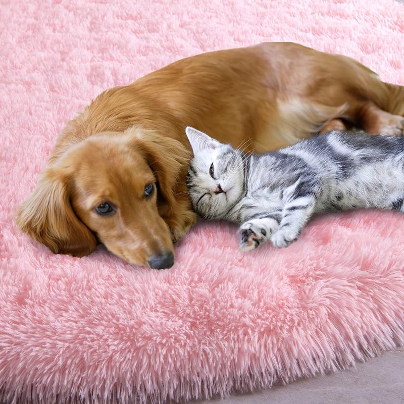 Soft Plush Fuzzy Rug: Washable Non Slip Living Room Bedroom Area Rug & Door Mat