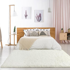 Soft Plush Fuzzy Rug: Washable Non Slip Living Room Bedroom Area Rug & Door Mat