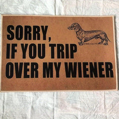 Funny Dog Welcome Door Mat Non-slip Indoor/Outdoor Entrance Mat