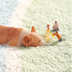 Soft Area Rugs For Bedroom Living Room Fluffy Rug Shag Furry Area Rug Carpet