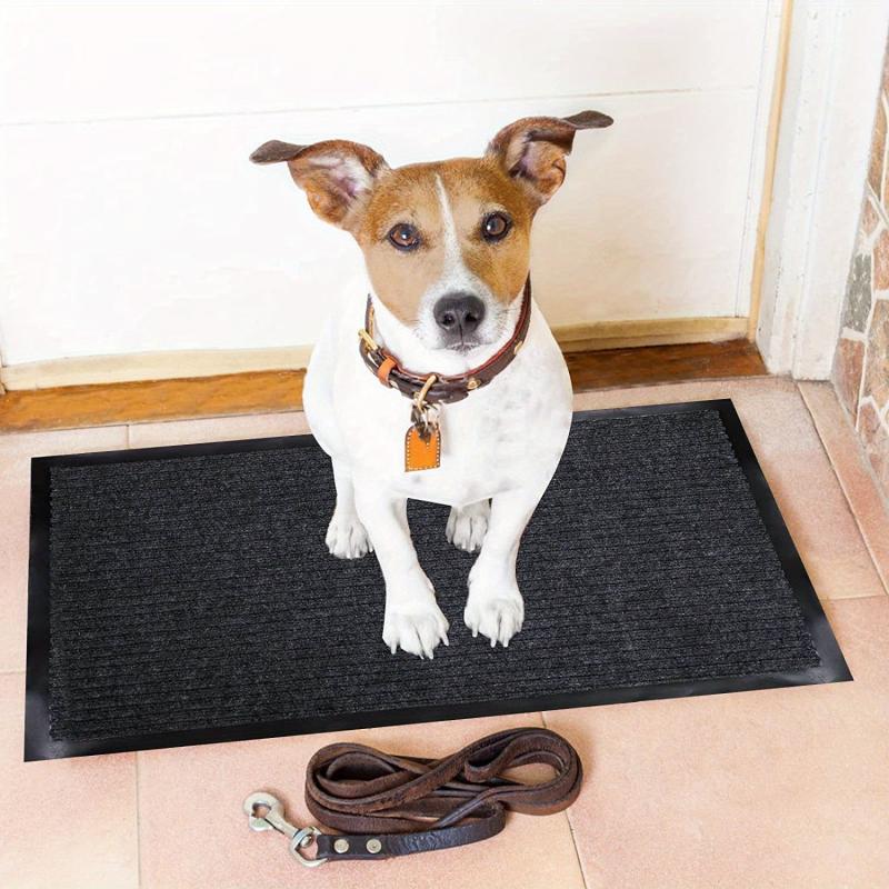 All Season Front Entrance Door Mat Non Slip